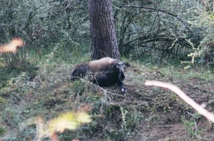 Estonya&#039;nın Başkenti: Tallinn 