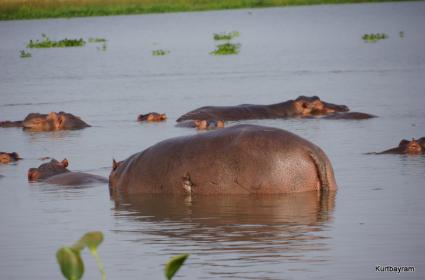 UZUNDERE’NİN HAZİNESİ TORTUM ŞELALESİ 