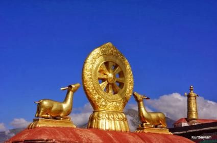 Atatürk Arboretumu  Atatürk Arboretumu