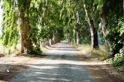 Muğla'nın Güzel İlçesi Akyaka  Muğla'nın Güzel İlçesi Akyaka