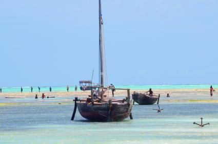 Büyüleyici ve Bir O Kadar Da Ürkütücü: Zanzibar  Büyüleyici ve Bir O Kadar Da Ürkütücü: Zanzibar