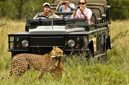 Ehlanzeni'de Malamala Safari Rezervi Gezisi  Ehlanzeni'de Malamala Safari Rezervi Gezisi