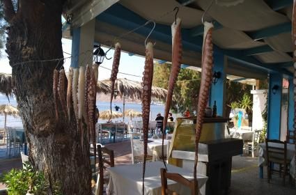 Bizim Şu Komşu Kapısı: Midilli - Lesvos  Bizim Şu Komşu Kapısı: Midilli - Lesvos