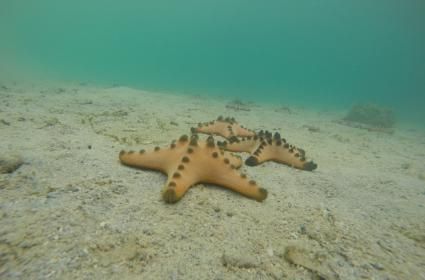 Filipinler 3. Bölüm: Puerto Princesa Honda Bay Adalar Turu Filipinler 3. Bölüm: Puerto Princesa Honda Bay Adalar Turu