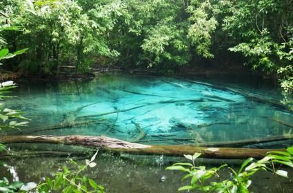 Krabi Emerald Pool, Kaplıcalar ve Tiger Cave Krabi Emerald Pool, Kaplıcalar ve Tiger Cave