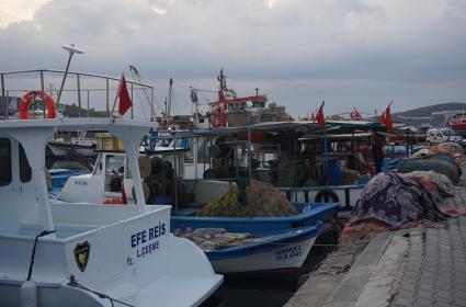 Türkiye&#039;nin İlk Cittaslow Yerleşkesi Seferihisar 