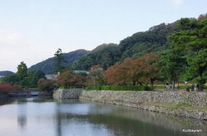 Tottori: Japonya&#039;da Deveye Binebileceğiniz Tek Yer 