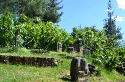 Şinto Tapınağı'nda Japon Düğünü  Şinto Tapınağı'nda Japon Düğünü