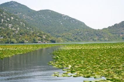 Skadar Milli Parkı - Skadarsko, İşkodra 