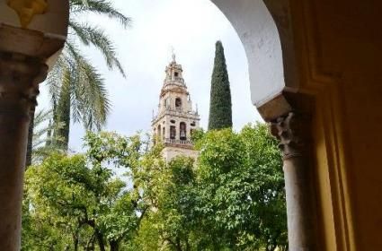Camiler Şehri: Cordoba 