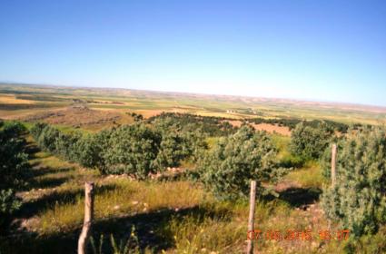 Tarihin Bilinen İlk ve En Büyük Tapınağı: Göbeklitepe / Şanlıurfa 