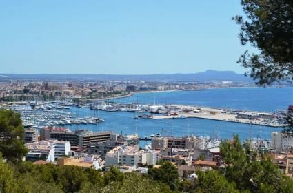 Neden Kenya, Nairobi ve Masai Mara 