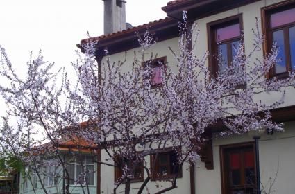 Günübirlik Bursa Gezisi 