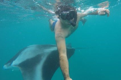 Maldivler&#039;de Manta Vatozlarıyla Yüzmek