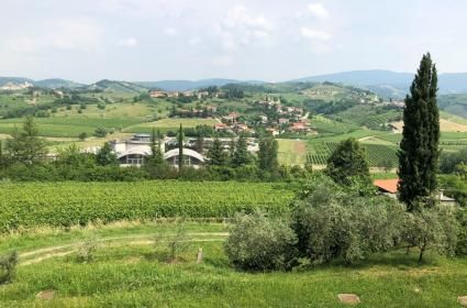 Slovenya'nın Gastronomi Cenneti Goriska Brda Slovenya'nın Gastronomi Cenneti Goriska Brda
