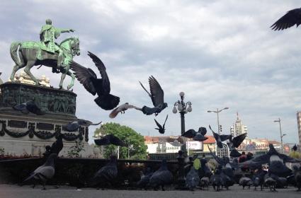 Belgrad&#039;da Gezilecek Yerler 