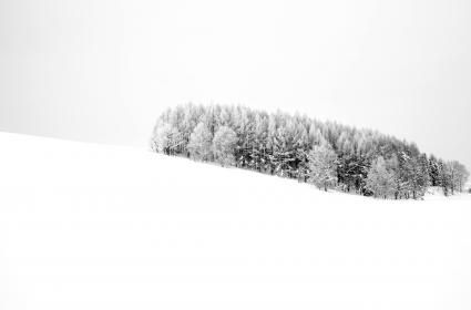 Karlar Ülkesi Hokkaido 