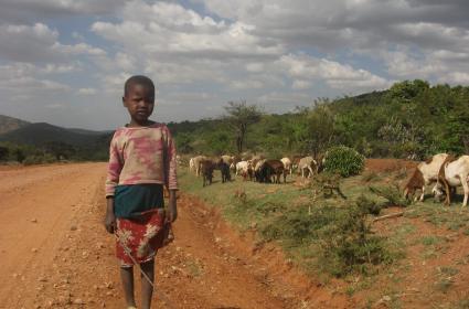 Kenya&#039;ya Seyahat: Malindi 