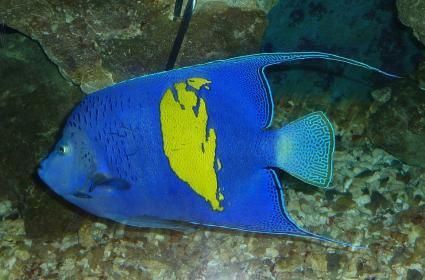 Mısır Günlükleri - Hurghada 2. Gün  Mısır Günlükleri - Hurghada 2. Gün