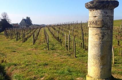 Şarap Mabedi Saint Emilion 