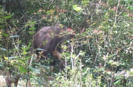 Tadında Gezelim: Akhisar 