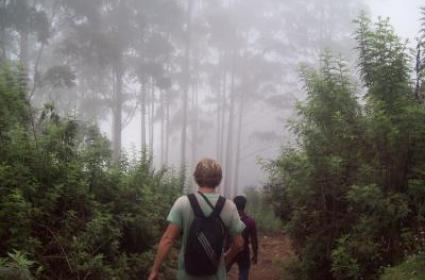 Tadında Gezelim: Halfeti 