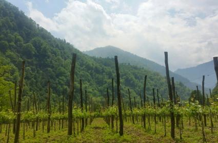 Paris Gezilerinin Vazgeçilmezi: Louvre Müzesi  Paris Gezilerinin Vazgeçilmezi: Louvre Müzesi