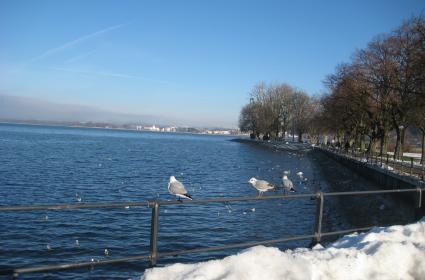 Kuzey Ege'nin İncisi Midilli (Lesvos) Adası  Kuzey Ege'nin İncisi Midilli (Lesvos) Adası