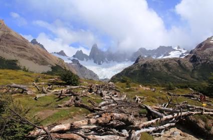 Patagonya - 1 : El Chalten ve Cerro Fitz Roy 