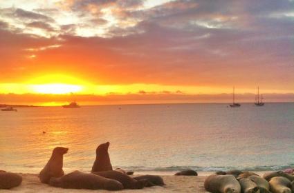 Bir Sırt Çantalının Galapagos Gezisi  Bir Sırt Çantalının Galapagos Gezisi