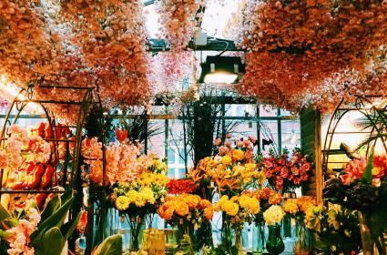 Haftasonunda Amsterdam 