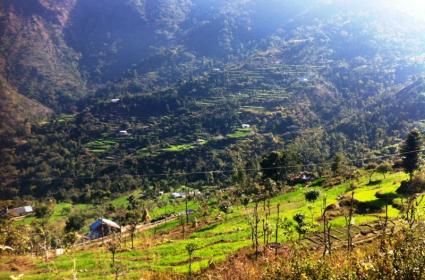 Hindistan&#039;da Tapınak Macerası: Himachal Paradesh 