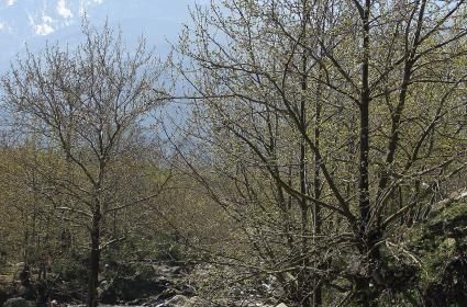 Günübirlik Yeşil Bursa Turu 