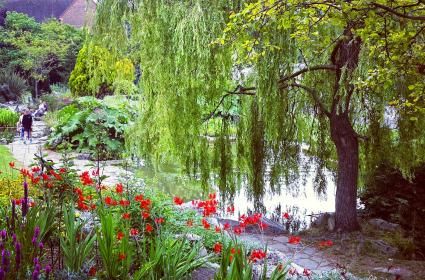 Nehir, Orman ve Deniz Bir Arada: Brighton 