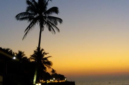 Goa Gezisi  Goa Gezisi