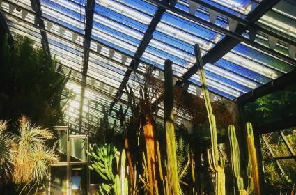 Müzeleri ve Parklarıyla Madrid 