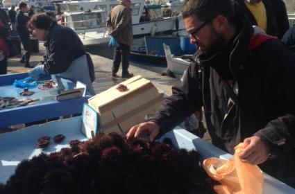 Ayağa Kalkmaya Çalışan Bir Şehir - Tiran  Ayağa Kalkmaya Çalışan Bir Şehir - Tiran