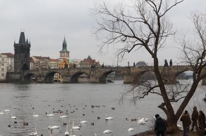 15 Adımda Prag  15 Adımda Prag