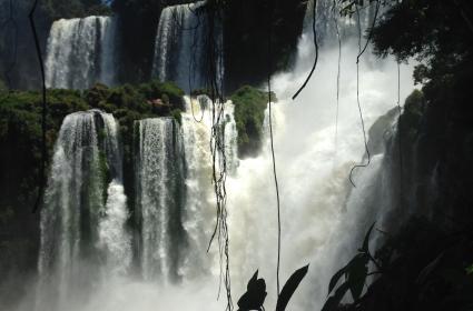 Iguazu Şelaleleri&#039;nin Arjantin Bölgesi 