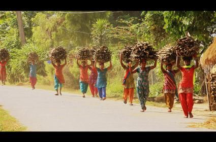 Nepal - Chitwan Vahşi Yaşam Parkında 3 Gün  Nepal - Chitwan Vahşi Yaşam Parkında 3 Gün