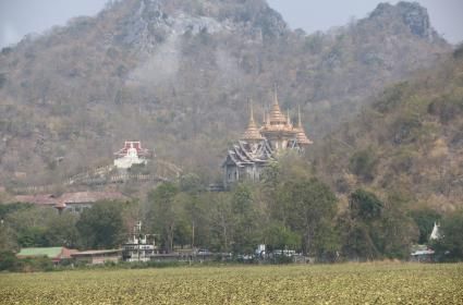 Tayland Hayat Müzesi ve Aids Hastanesi, Lopburi  Tayland Hayat Müzesi ve Aids Hastanesi, Lopburi