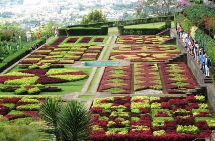 Madeira Adası&#039;nda 6 Gün 
