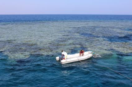 Viking Ülkesinin Başkenti Stockholm 