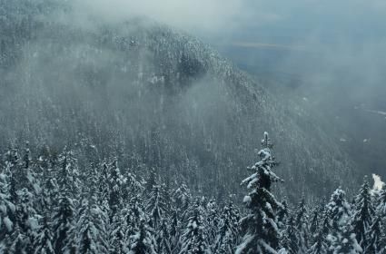 Bir Kayak Tatili: Bansko  Bir Kayak Tatili: Bansko