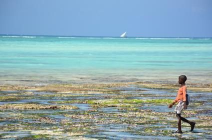 Gelgitle Güzelleşen Ada: Zanzibar  Gelgitle Güzelleşen Ada: Zanzibar