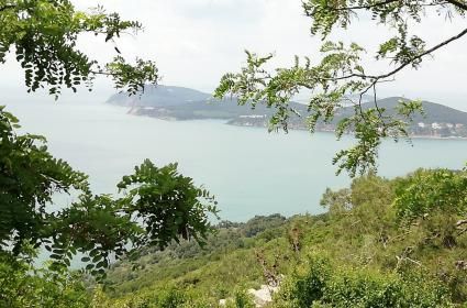 Hafta Sonunda Hızlı Bir Büyükada Gezisi  Hafta Sonunda Hızlı Bir Büyükada Gezisi