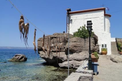 Lesvos (Midilli Adası) Otel Tavsiyeleri Lesvos (Midilli Adası) Otel Tavsiyeleri