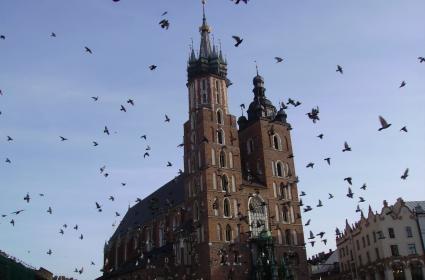 Hadi Krakow&#039;a Gidelim 