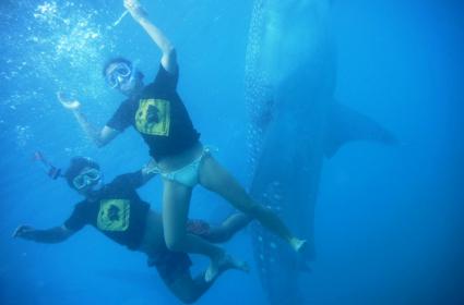 Hırvatistan Gezisi Bölüm 11: Trogir  Hırvatistan Gezisi Bölüm 11: Trogir