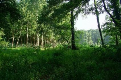 Hırvatistan Gezisi Bölüm 6: Zadar - Nin  Hırvatistan Gezisi Bölüm 6: Zadar - Nin